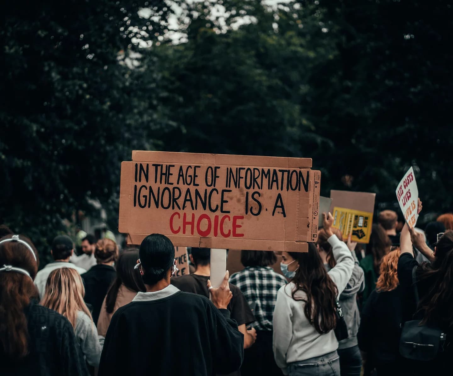 Photo of a person holding a sign that says "In the age of information, ignorance is a choice"